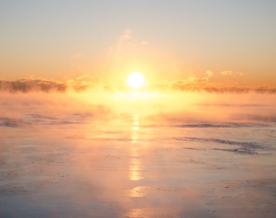 photo 1514958566123 9ec36678c8c6