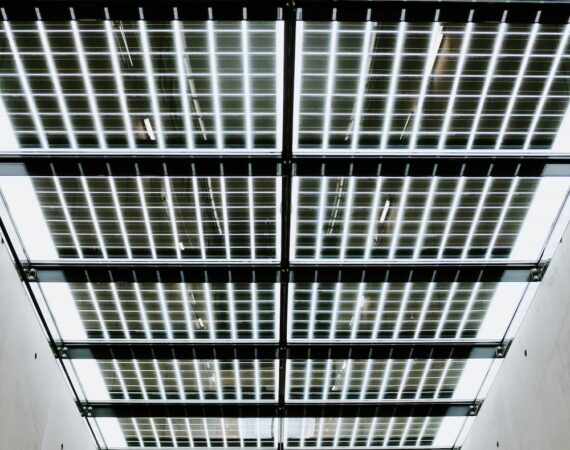 photo 1560149747 6b39abedd764