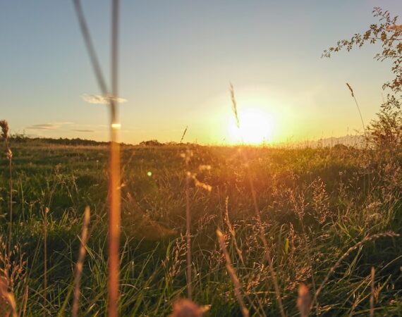 如何選擇最適合的太陽能生產技術 5 photo 1566734490231 b2fee6d85bcf