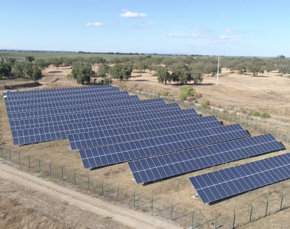 photo 1585223294015 321317cd12fe