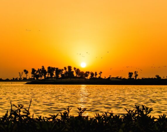 photo 1603053859907 a09a136e2eaa