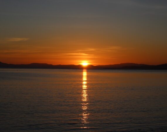 太陽能發電:如何評估和降低風險 3 photo 1628224961526 baaf41f12bc8