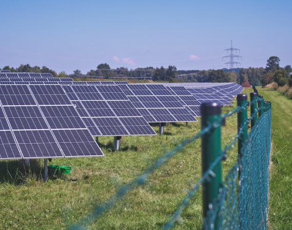 photo 1630765931044 8aca18d1b2bb