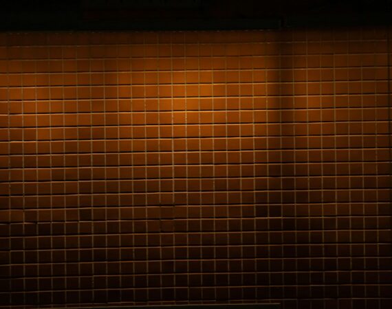 photo 1669236948317 67d9955eee4d