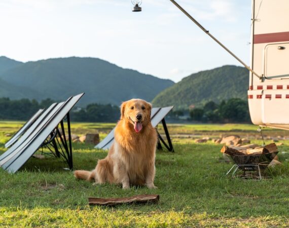 太陽能生產:為企業降低成本並實現可持續發展的方案 4 photo 1681263678742 f0c4955fa18b