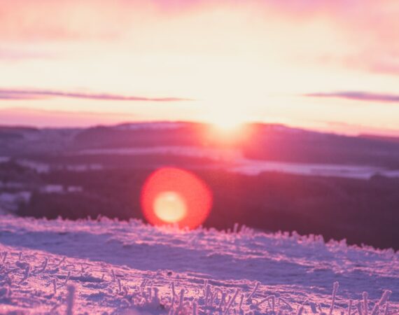 photo 1592565853808 5d3f7df6abb7