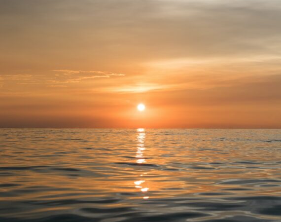 photo 1607527585589 1886b152f0f5