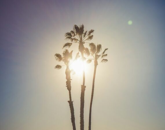 太陽能生產- 如何應對全球能源需求增加的挑戰 6 photo 1622583745832 2e68b8057f19