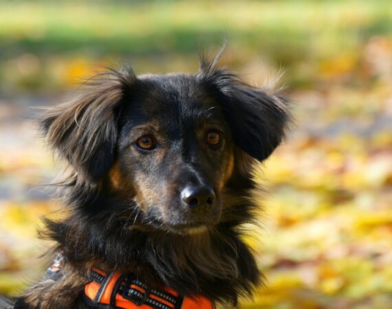 太陽能發電系統的四大風險及相應對策 6 photo 1679387767950 6a548022cdf9