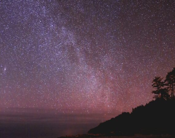 photo 1521934283989 acaa8ceb335a