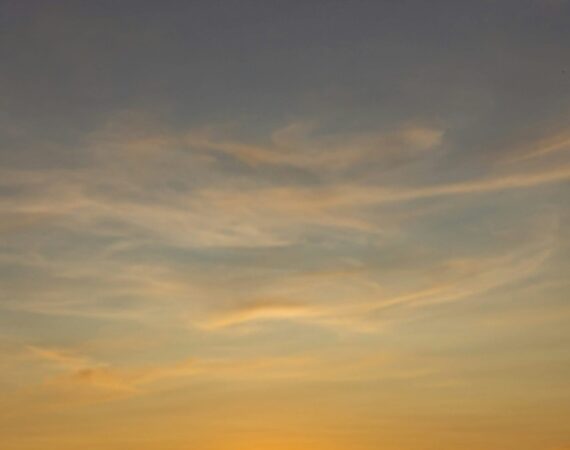 太陽能風險管理的最佳實踐與策略 6 photo 1565764139915 7e3bcb5d5f54