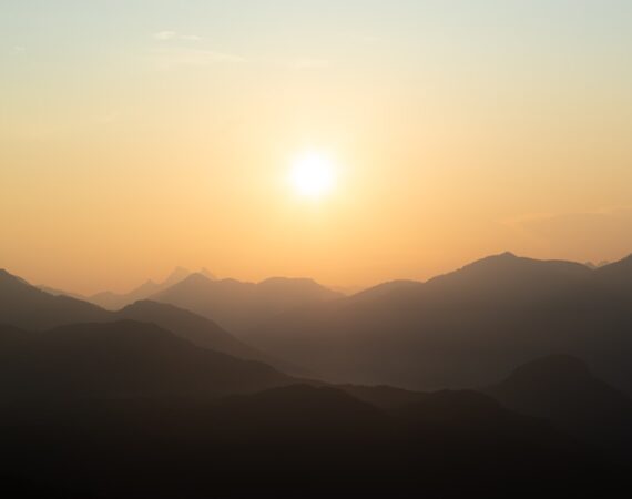 photo 1567879783687 2a79e8ae399c