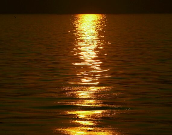 太陽能生產與綠能產業的未來發展趨勢 6 photo 1568020540919 b696f9f76ef0