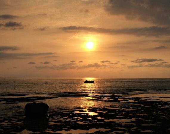 太陽能風險投資:評估和選擇可靠的項目 5 photo 1605686819360 8d1d9848d789