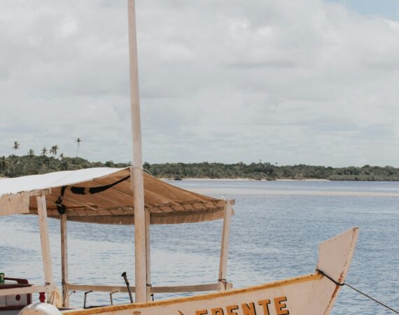 提升太陽能生產效能的關鍵因素 4 photo 1674658100343 a89ad143af45