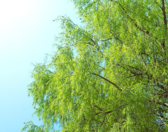 太陽能生產:關鍵技術升級的必要性與挑戰 1 photo 1680458841853 0b39084067ee