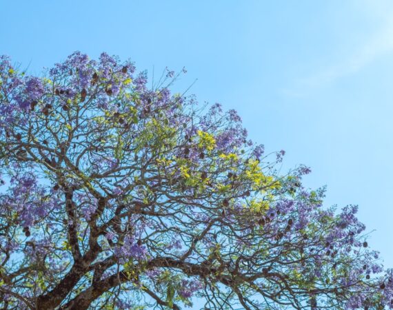 太陽能生產:行業競爭力的提升策略 2 photo 1680458842508 e30d36b1cba5