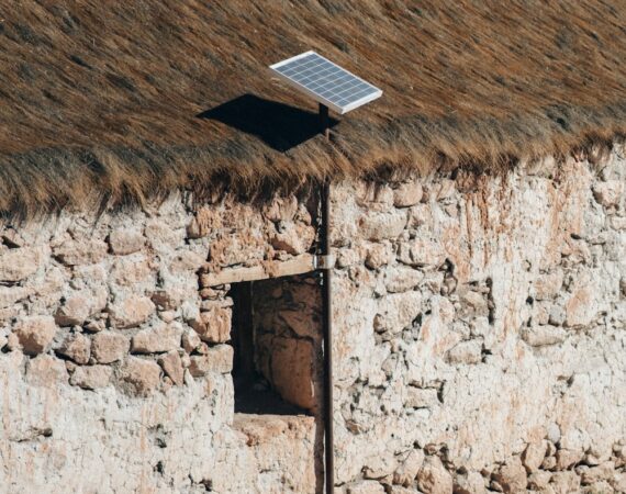 photo 1565947256681 1e29d35a1d76