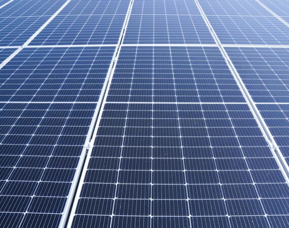 photo 1679046411615 d84b3f4ae6e5