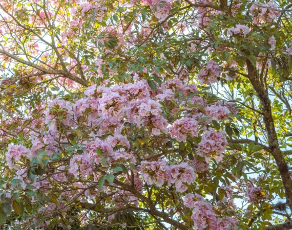 photo 1680458841442 eeb9951c5fdf