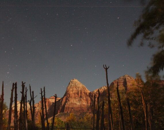 太陽能生產的綠色供應鏈和可持續製造實踐 5 photo 1469975692758 66d107a536cb
