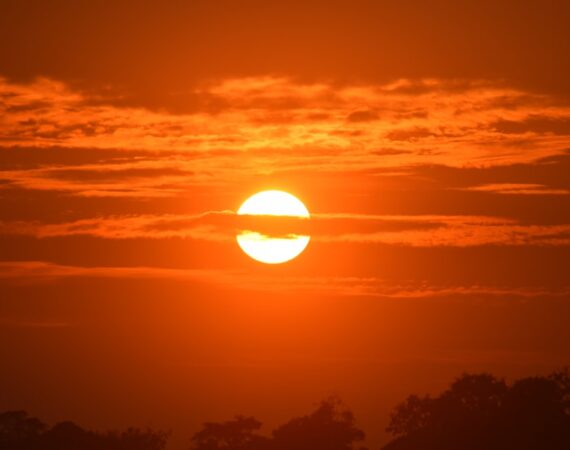 photo 1605966510840 0e6f282c083d