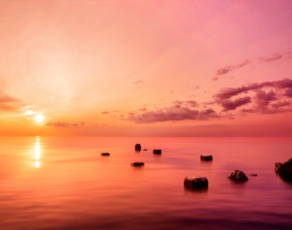 photo 1607570414155 7f754421ba3b