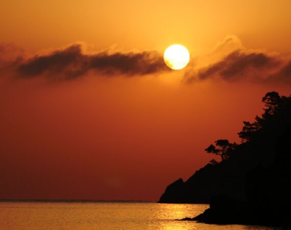 photo 1610891777743 0451ddcf958e