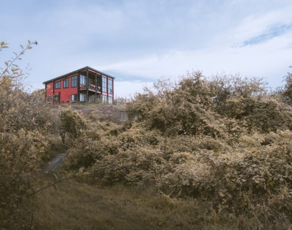 photo 1630670713095 992e16b48bb3