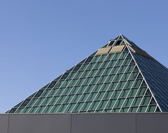 photo 1646505463891 6a847062de3c