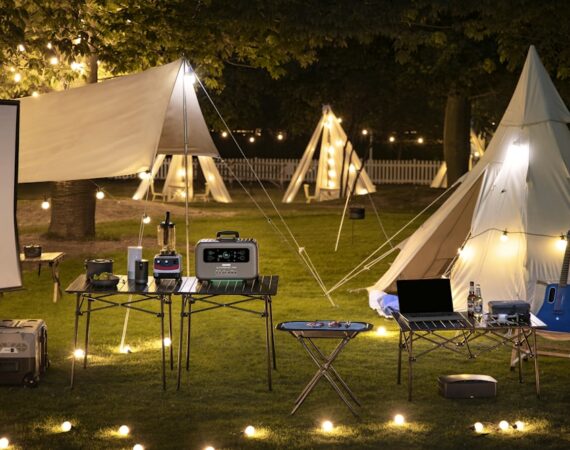 photo 1678775883148 6642c67015f5