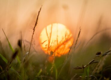 太陽能發電業務中的金融風險與保障機制