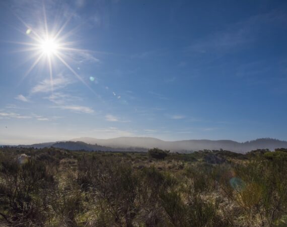 photo 1581347312461 eb6c267b5c12