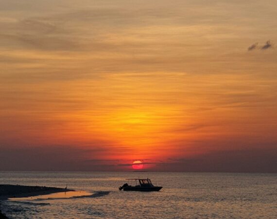 photo 1587064589724 d781a8dd50ee