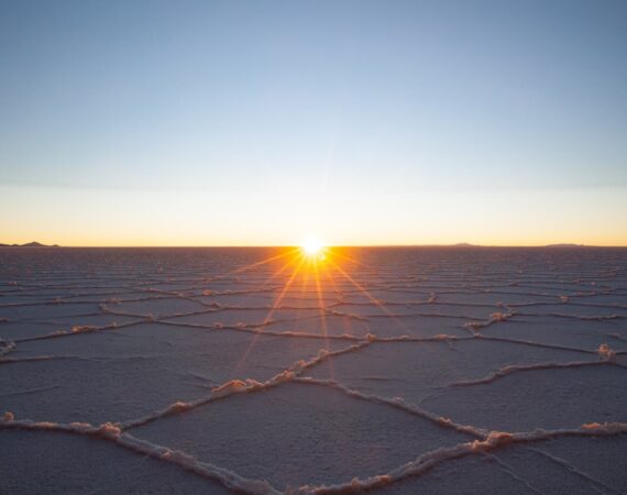 photo 1595855573822 fb8bb1b507e2