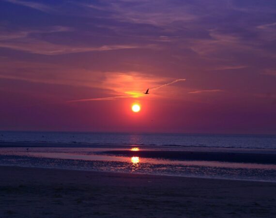 如何評估太陽能項目中的風險與利益 3 photo 1607382726204 9c208fe9676d