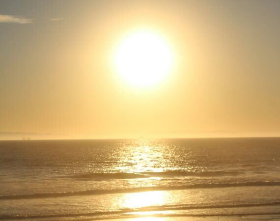 photo 1622587334224 0d5ea17038da