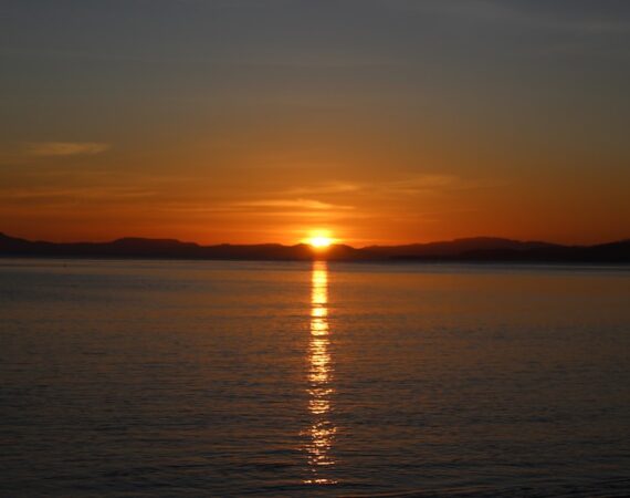 photo 1628224961526 baaf41f12bc8