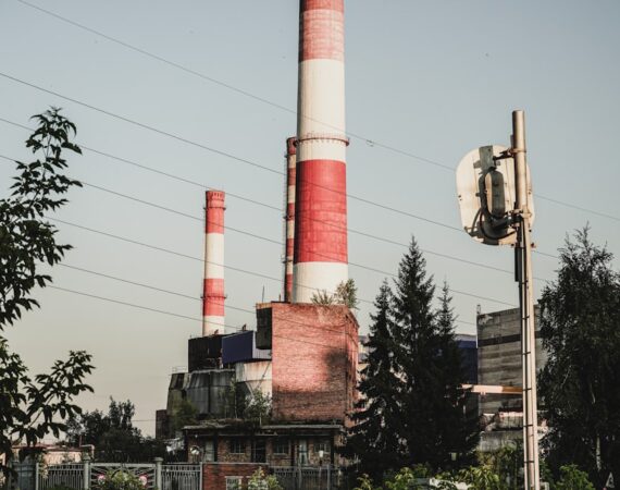 photo 1636883826293 d7eb7566f5d9