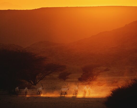 photo 1682687982204 f1a77dcc3067